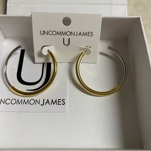 Brand new with tag, never worn, uncommon James two tone hoop earrings!